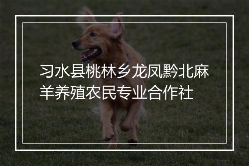 习水县桃林乡龙凤黔北麻羊养殖农民专业合作社
