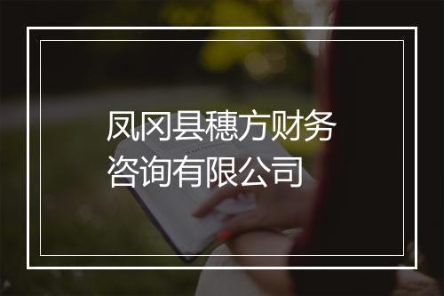 凤冈县穗方财务咨询有限公司