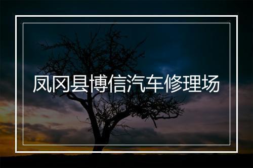凤冈县博信汽车修理场