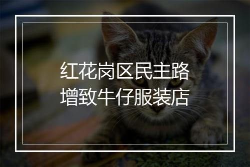 红花岗区民主路增致牛仔服装店