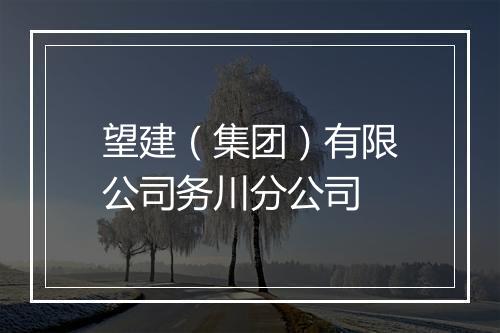 望建（集团）有限公司务川分公司