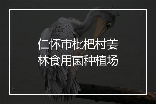 仁怀市枇杷村姜林食用菌种植场