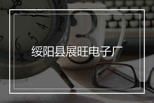 绥阳县展旺电子厂