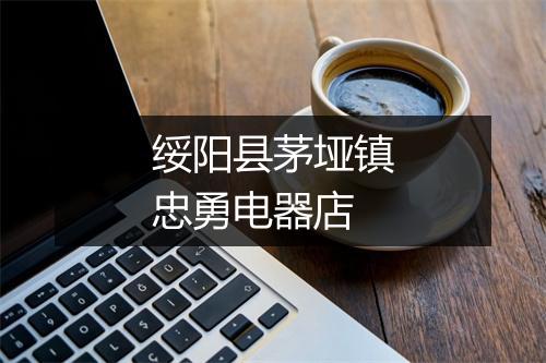 绥阳县茅垭镇忠勇电器店