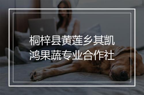 桐梓县黄莲乡其凯鸿果蔬专业合作社