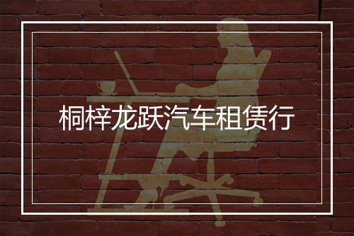 桐梓龙跃汽车租赁行