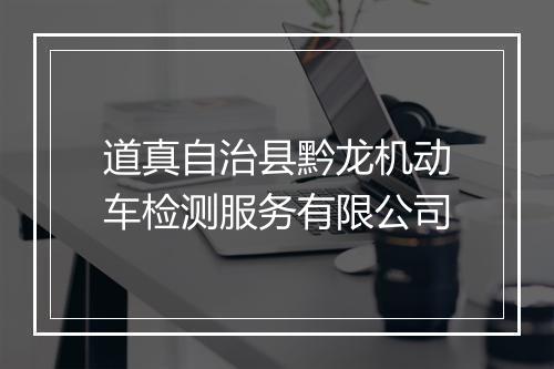 道真自治县黔龙机动车检测服务有限公司