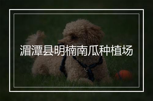 湄潭县明楠南瓜种植场