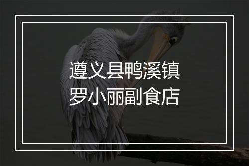 遵义县鸭溪镇罗小丽副食店