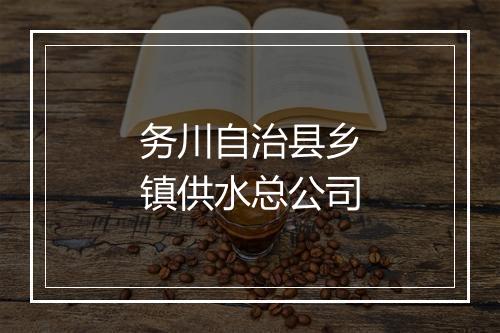 务川自治县乡镇供水总公司