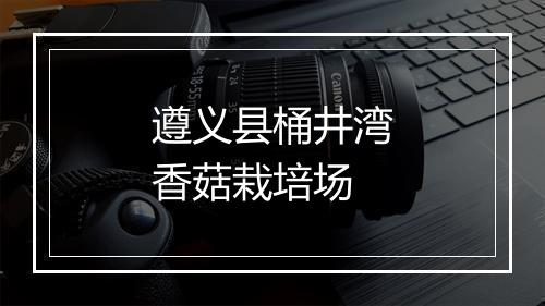 遵义县桶井湾香菇栽培场
