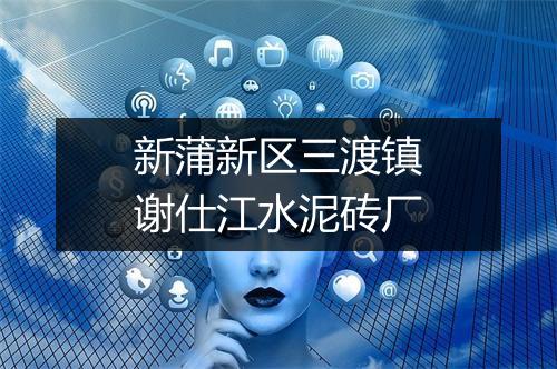 新蒲新区三渡镇谢仕江水泥砖厂