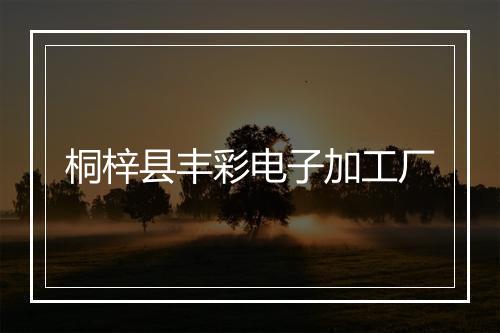 桐梓县丰彩电子加工厂