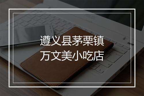 遵义县茅栗镇万文美小吃店