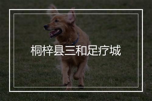 桐梓县三和足疗城