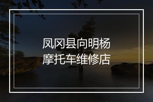 凤冈县向明杨摩托车维修店