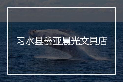习水县鑫亚晨光文具店