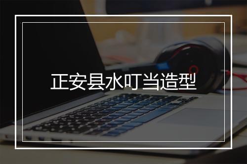 正安县水叮当造型