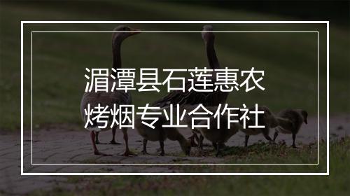 湄潭县石莲惠农烤烟专业合作社