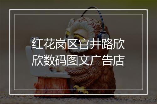 红花岗区官井路欣欣数码图文广告店