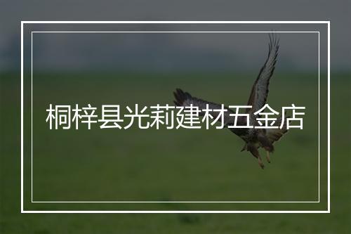 桐梓县光莉建材五金店