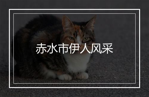 赤水市伊人风采