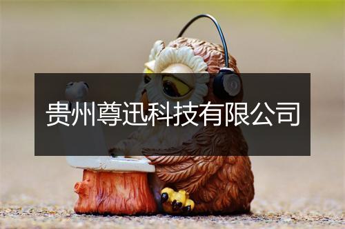 贵州尊迅科技有限公司