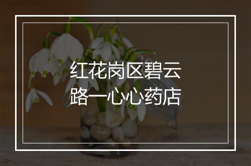 红花岗区碧云路一心心药店
