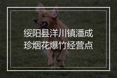 绥阳县洋川镇潘成珍烟花爆竹经营点