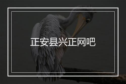 正安县兴正网吧