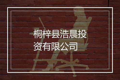 桐梓县浩晨投资有限公司