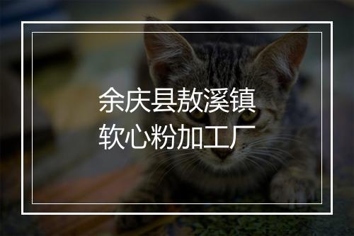 余庆县敖溪镇软心粉加工厂