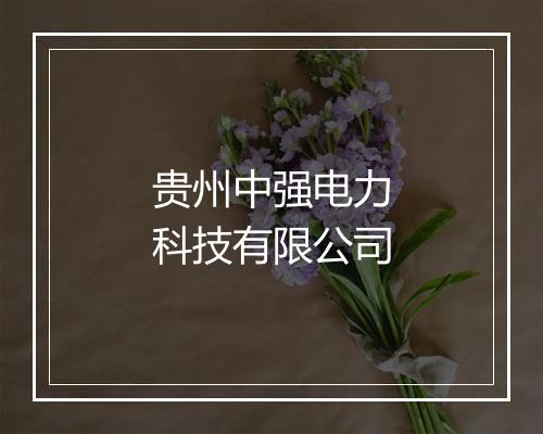 贵州中强电力科技有限公司