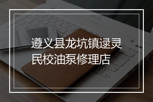 遵义县龙坑镇逯灵民校油泵修理店