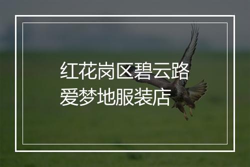 红花岗区碧云路爱梦地服装店