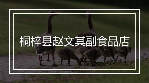 桐梓县赵文其副食品店