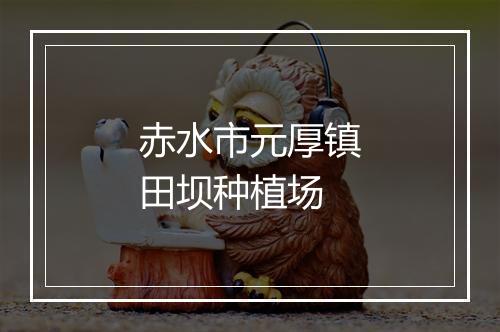 赤水市元厚镇田坝种植场