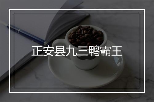 正安县九三鸭霸王