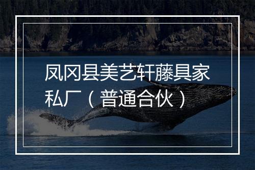 凤冈县美艺轩藤具家私厂（普通合伙）