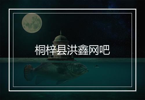 桐梓县洪鑫网吧