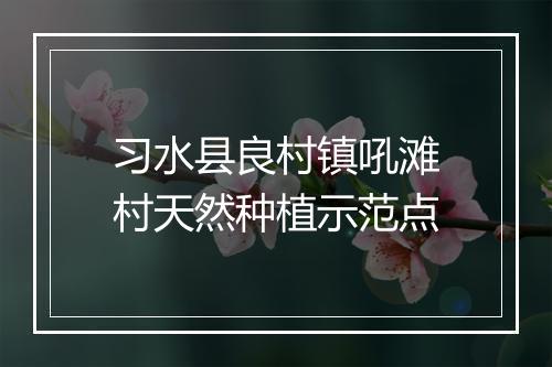 习水县良村镇吼滩村天然种植示范点