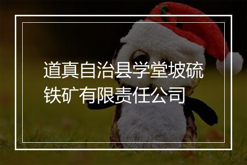 道真自治县学堂坡硫铁矿有限责任公司