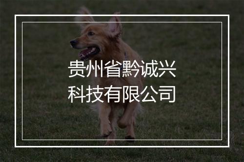 贵州省黔诚兴科技有限公司
