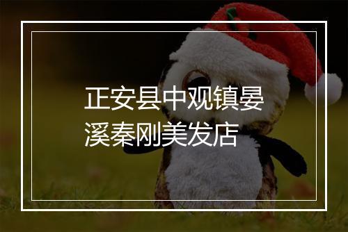 正安县中观镇晏溪秦刚美发店