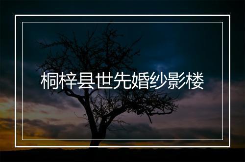 桐梓县世先婚纱影楼