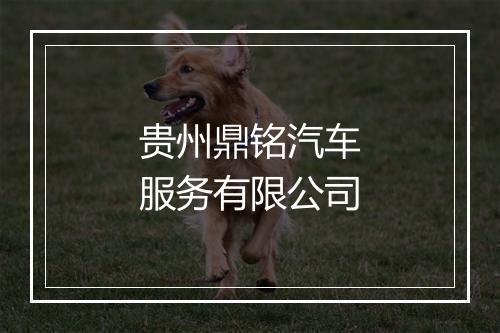 贵州鼎铭汽车服务有限公司