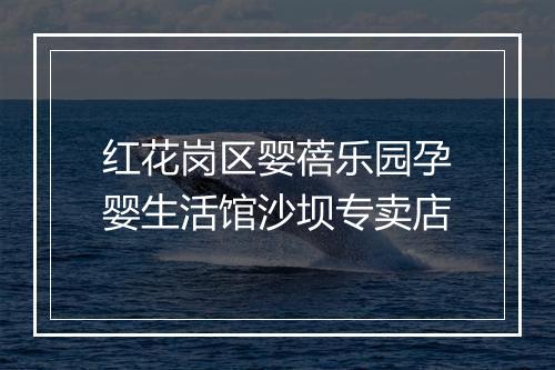 红花岗区婴蓓乐园孕婴生活馆沙坝专卖店