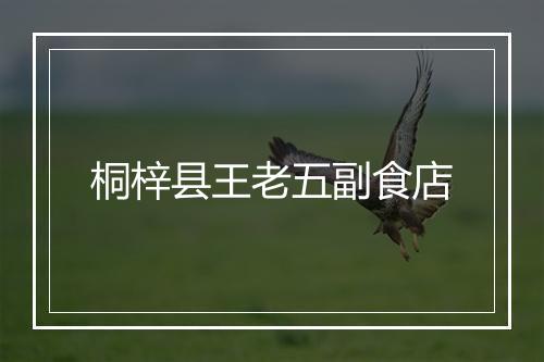 桐梓县王老五副食店