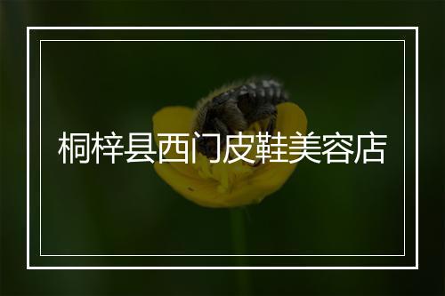 桐梓县西门皮鞋美容店