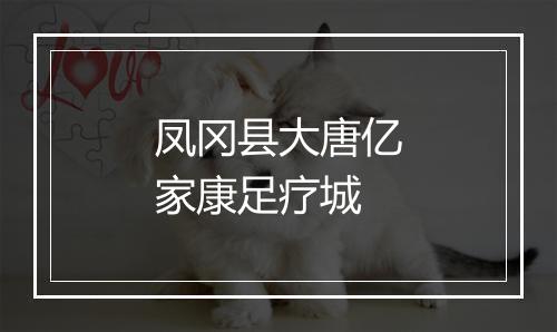 凤冈县大唐亿家康足疗城